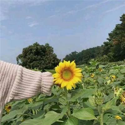 八门助手修改版免root版下载